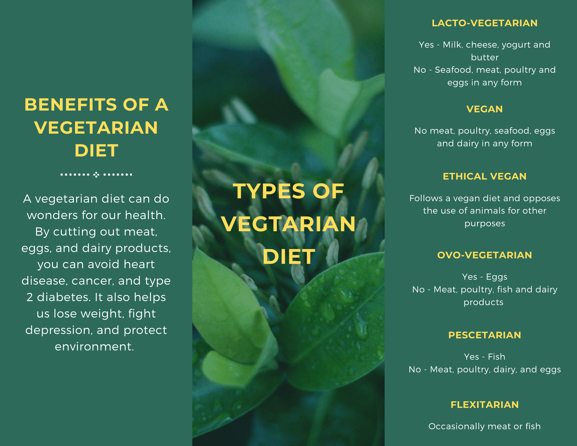 What Is A Balanced Diet and Why Is It Important - Anveshan