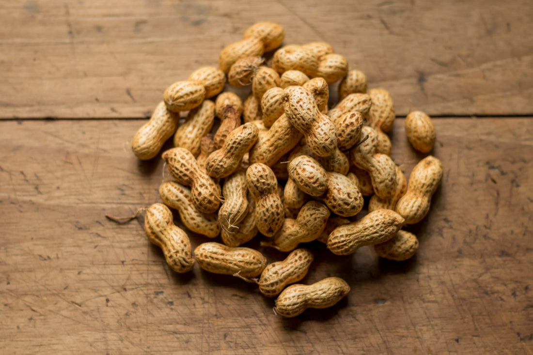 The Battle of NUTS: Hazelnut Butter vs Peanut Butter