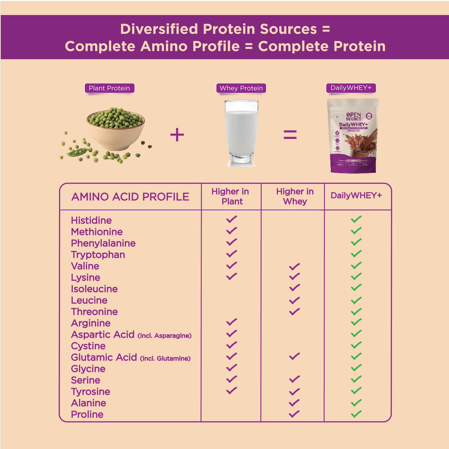 DailyWHEY+ | Blend of Whey + Plant Protein | 24g Protein Per Scoop | Chocolate Flavor | 500 g